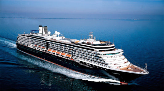 A Travel Painting Workshop On A New Zealand Cruise!!