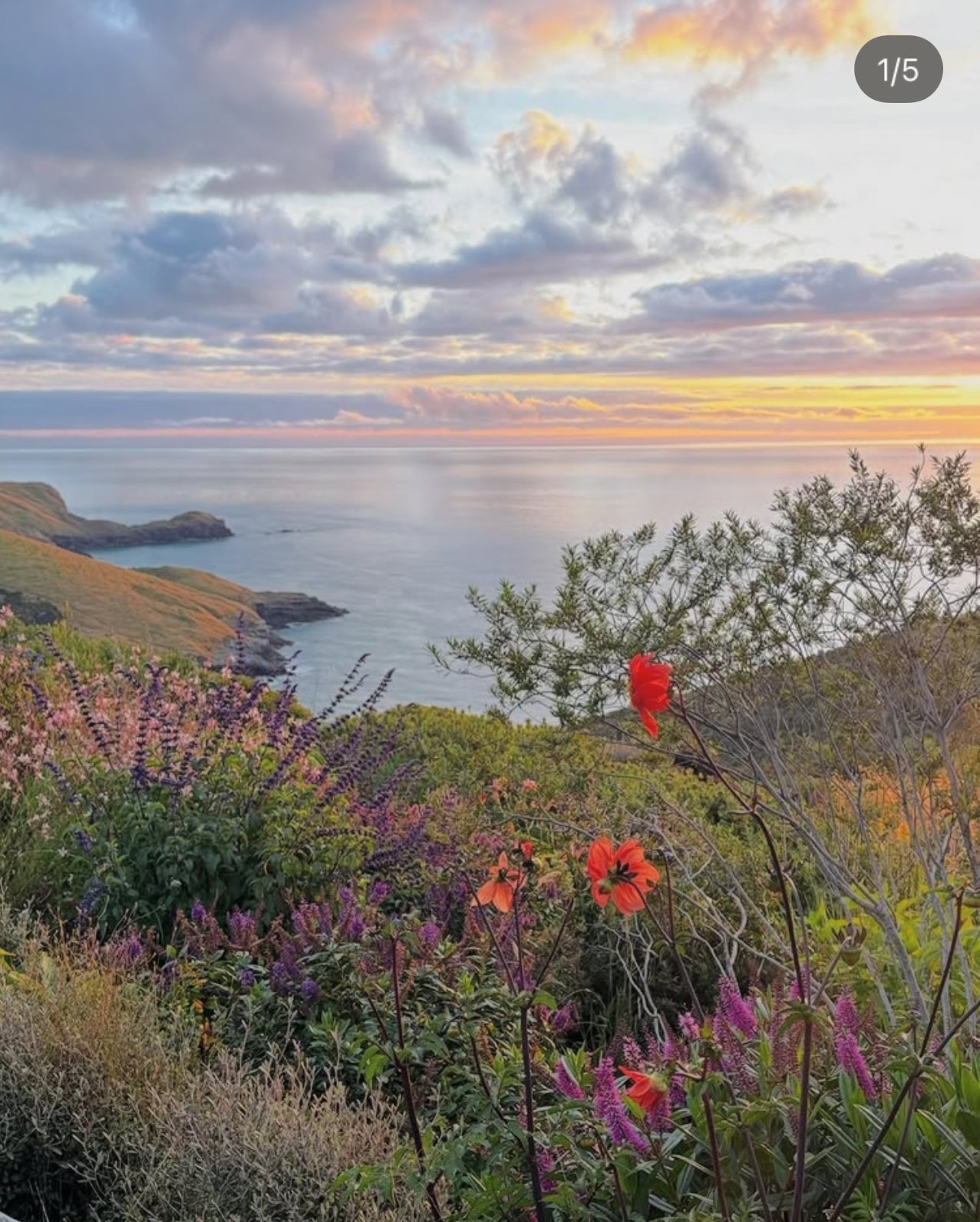 Fisherman’s Bay Garden commission
