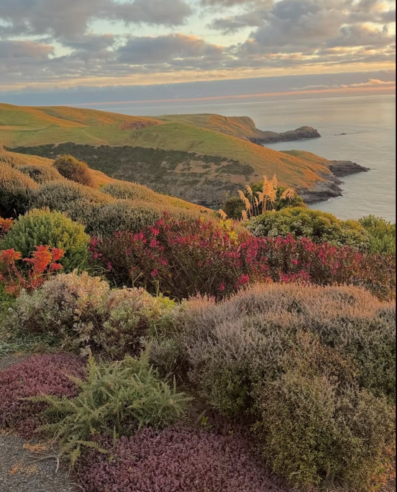 Fisherman’s Bay Garden commission