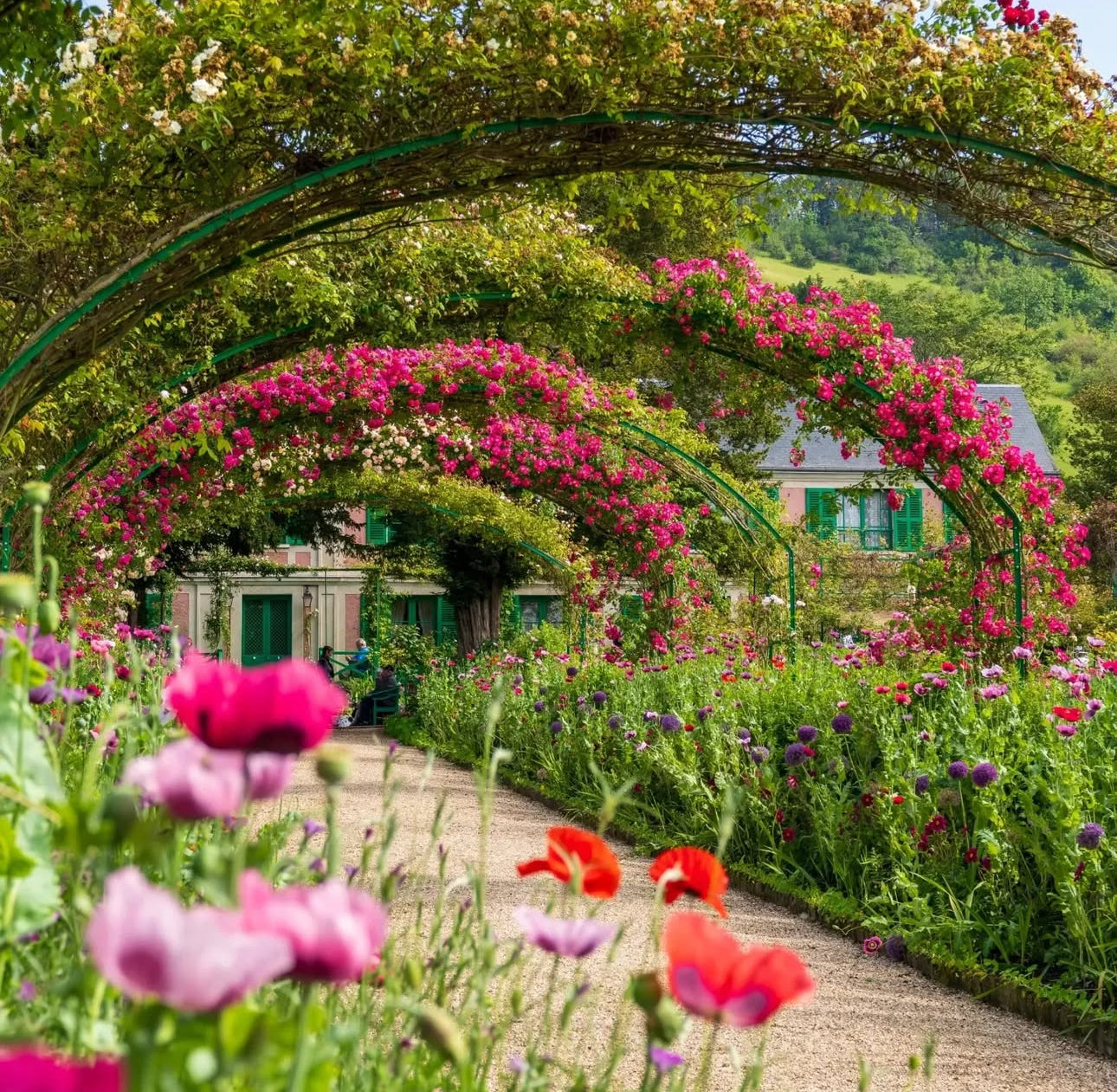 Monet’s Rose Garden Path, a commissioned painting