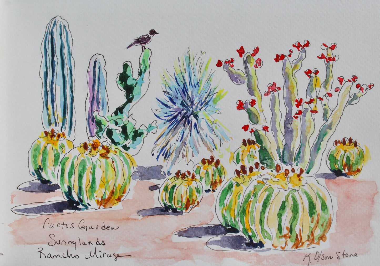 Sunnylands Cactus Garden