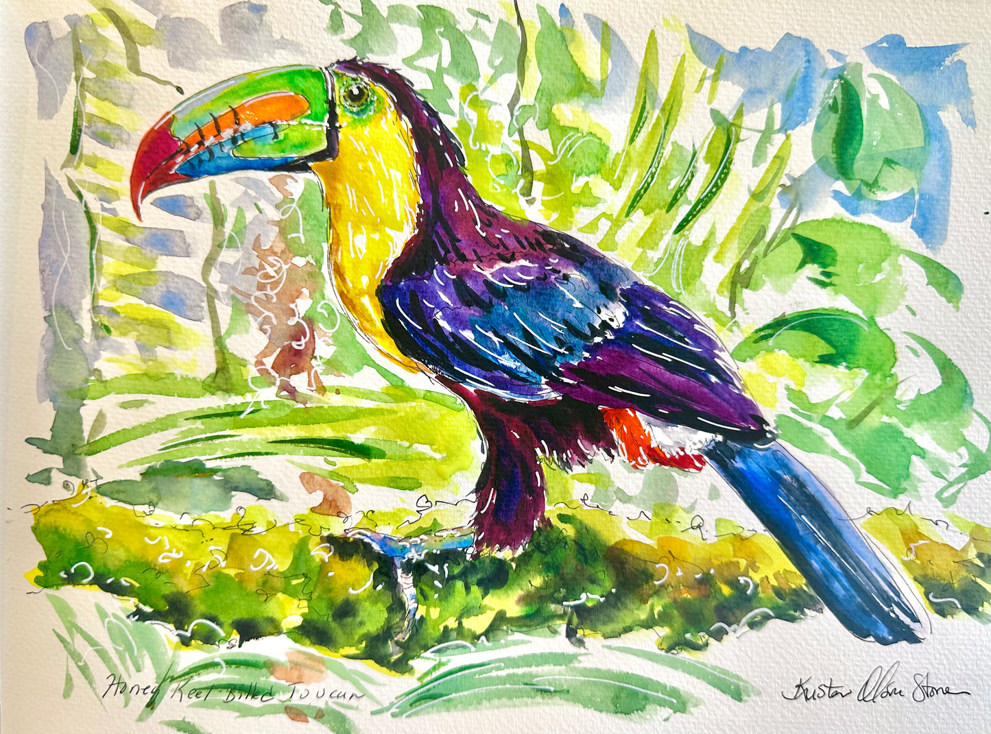 Honey Keel Billed Toucan Watercolor