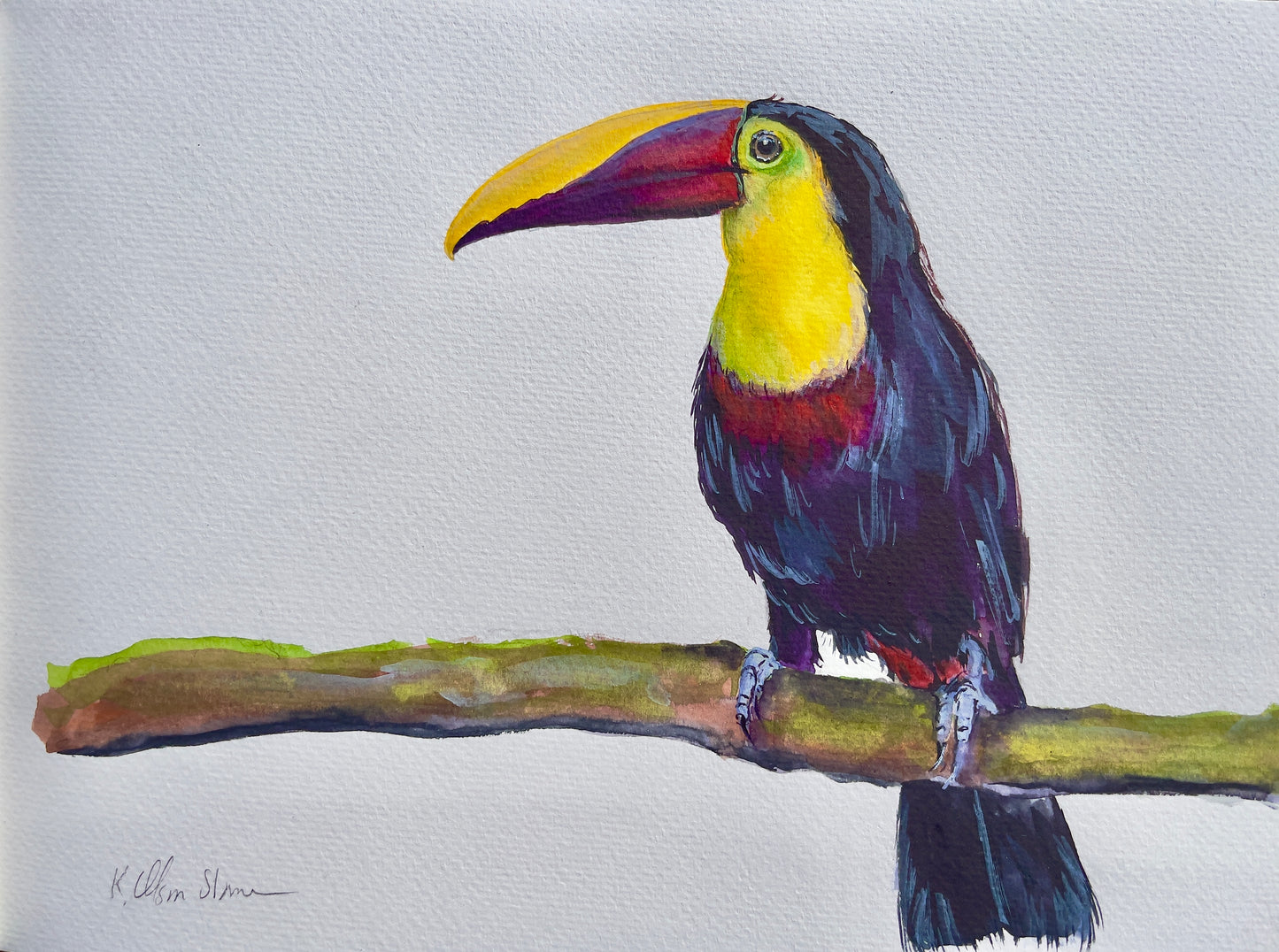 Yellow Throated Toucan