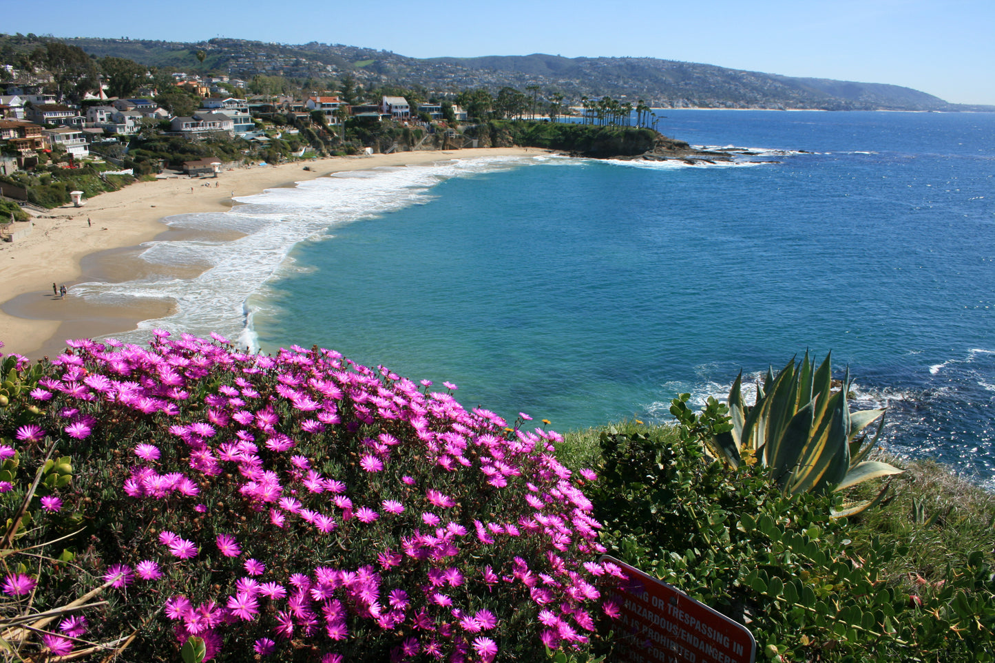 Seascape commission of Crescent Bay, California