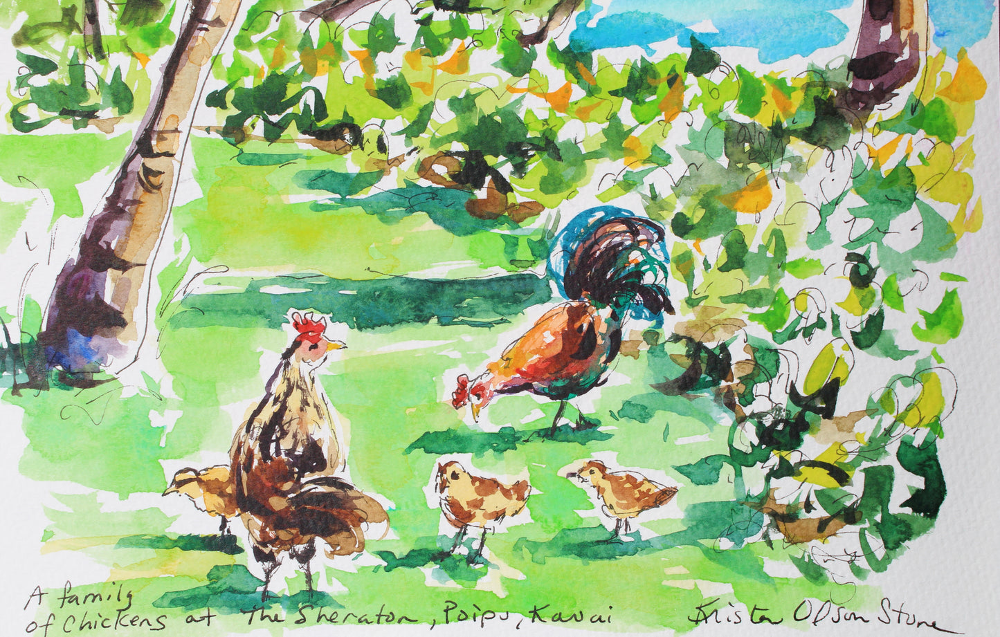 A Chicken Family In Kauai