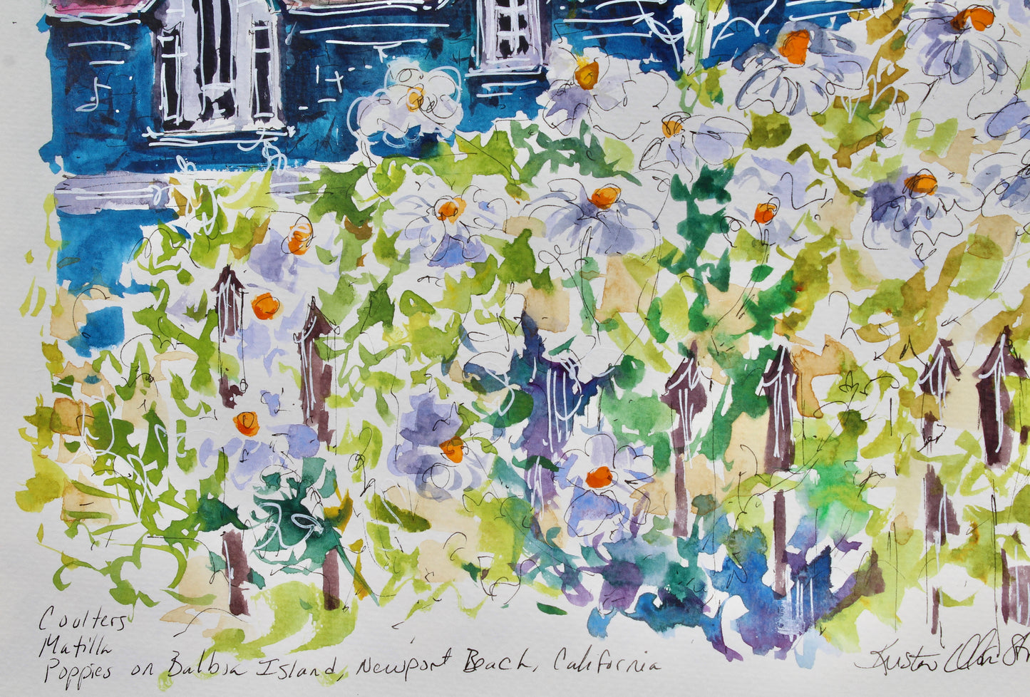 Matilla Poppies, Balboa Island