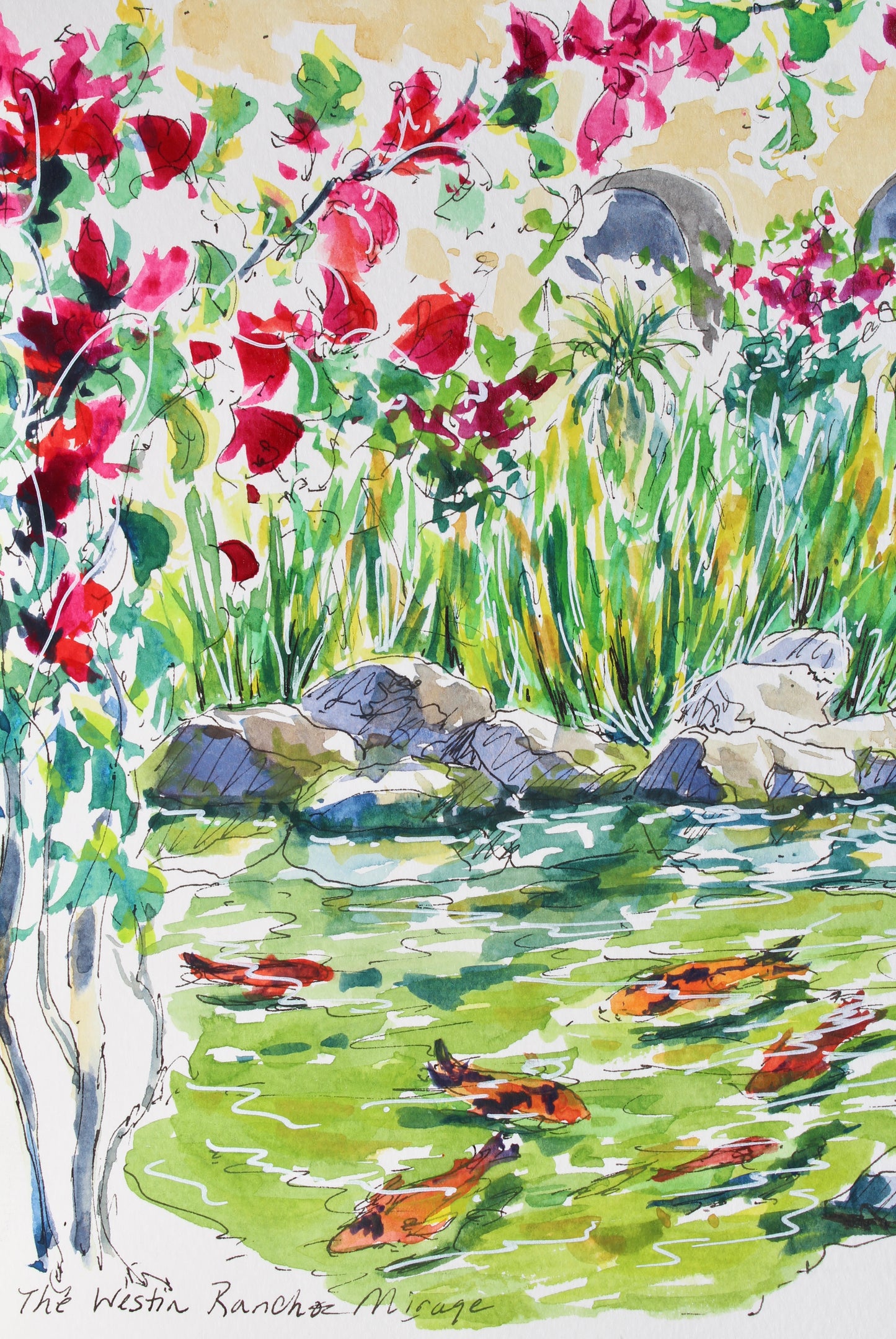 Koi Pond, The Westin, Rancho Mirage