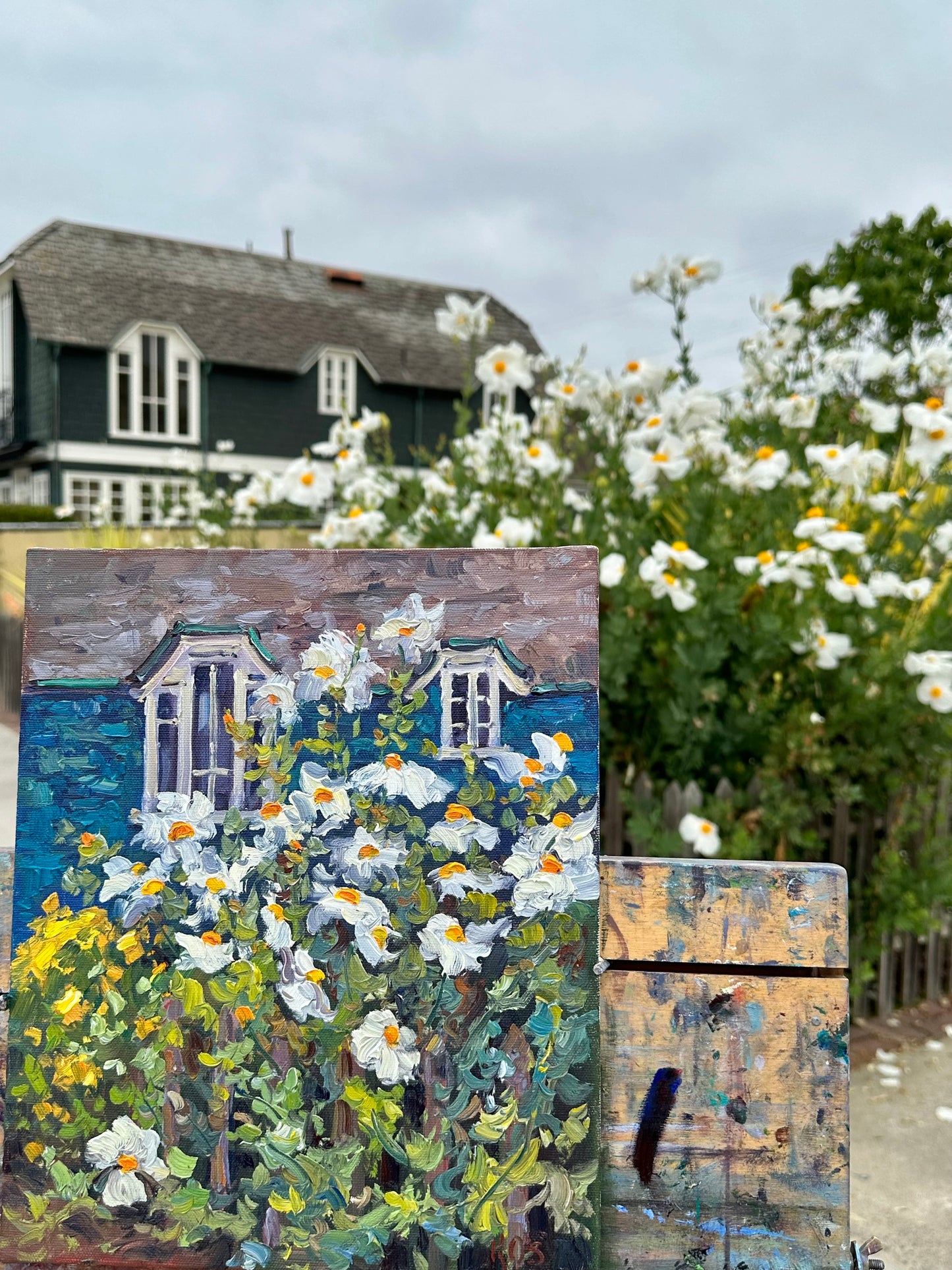 Matilla Poppies Along South Bayfront, Original 14" x 11" Oil Painting Of California Poppies