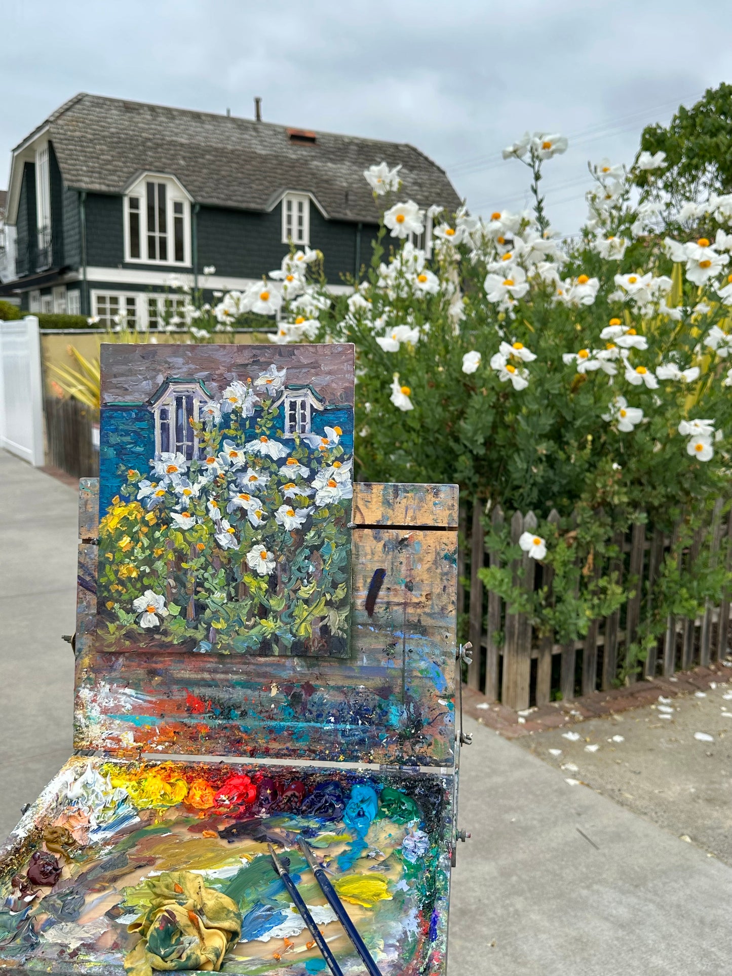 Matilla Poppies Along South Bayfront, Original 14" x 11" Oil Painting Of California Poppies