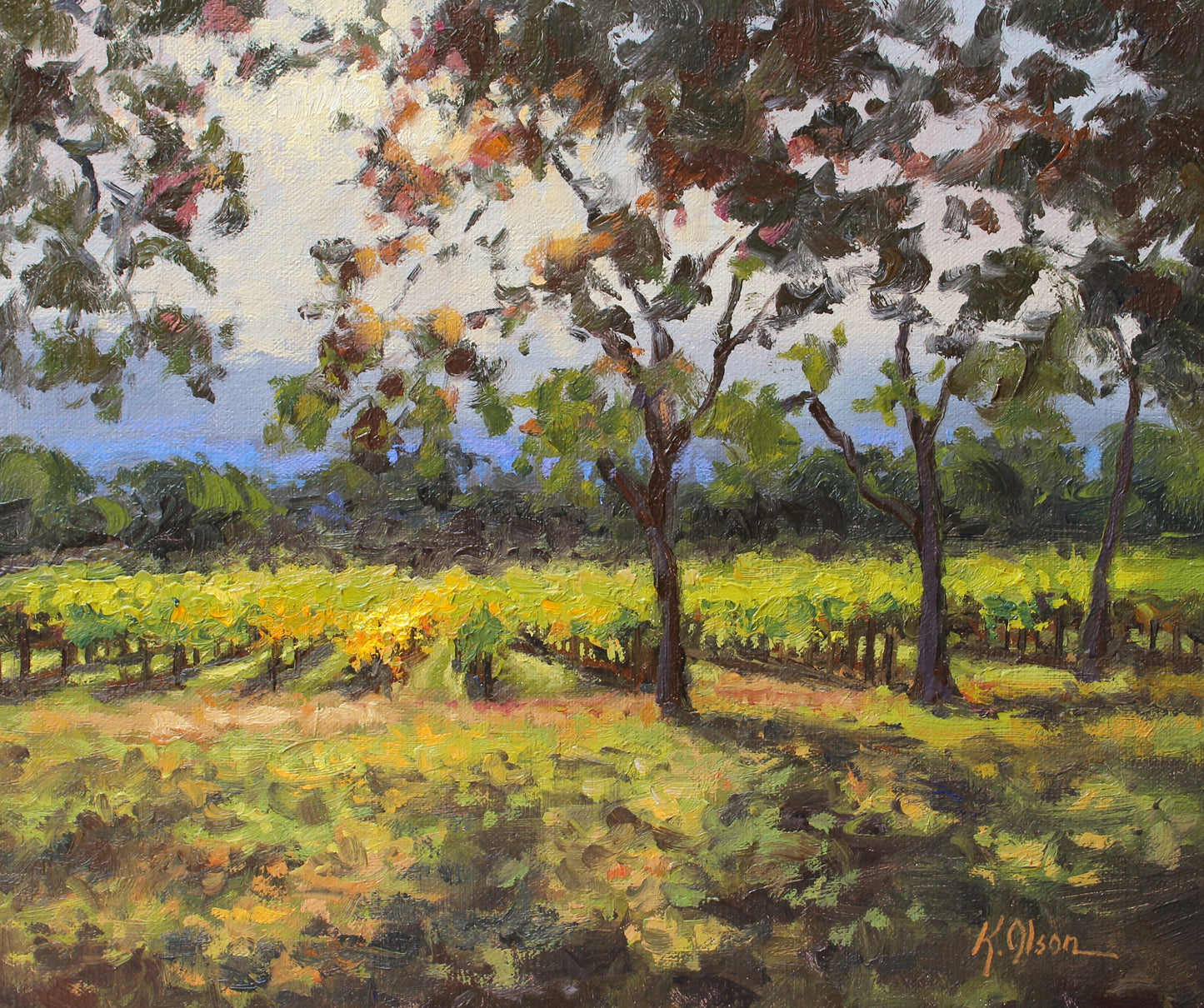 Yountville Vineyard