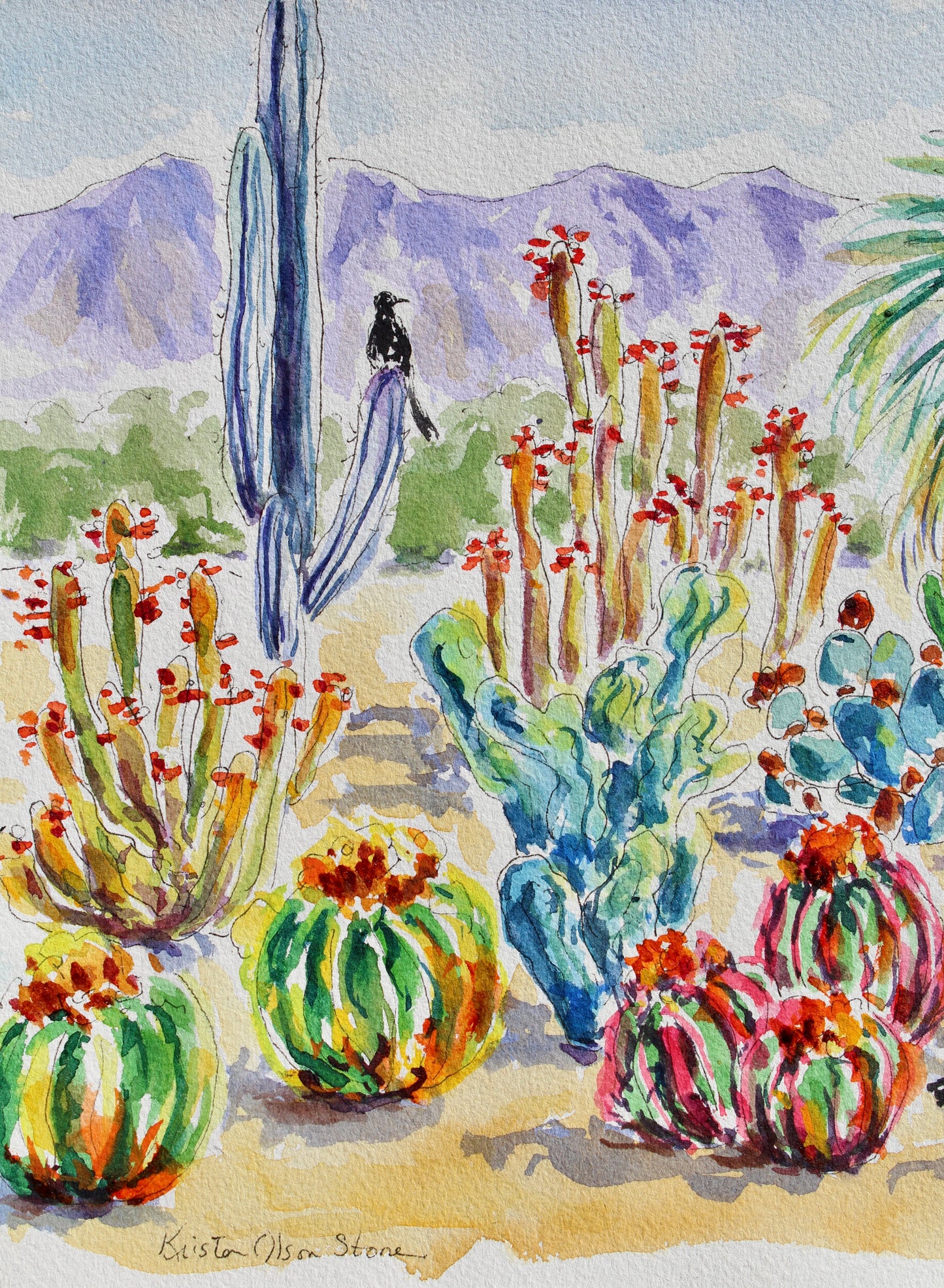 Desert Hues