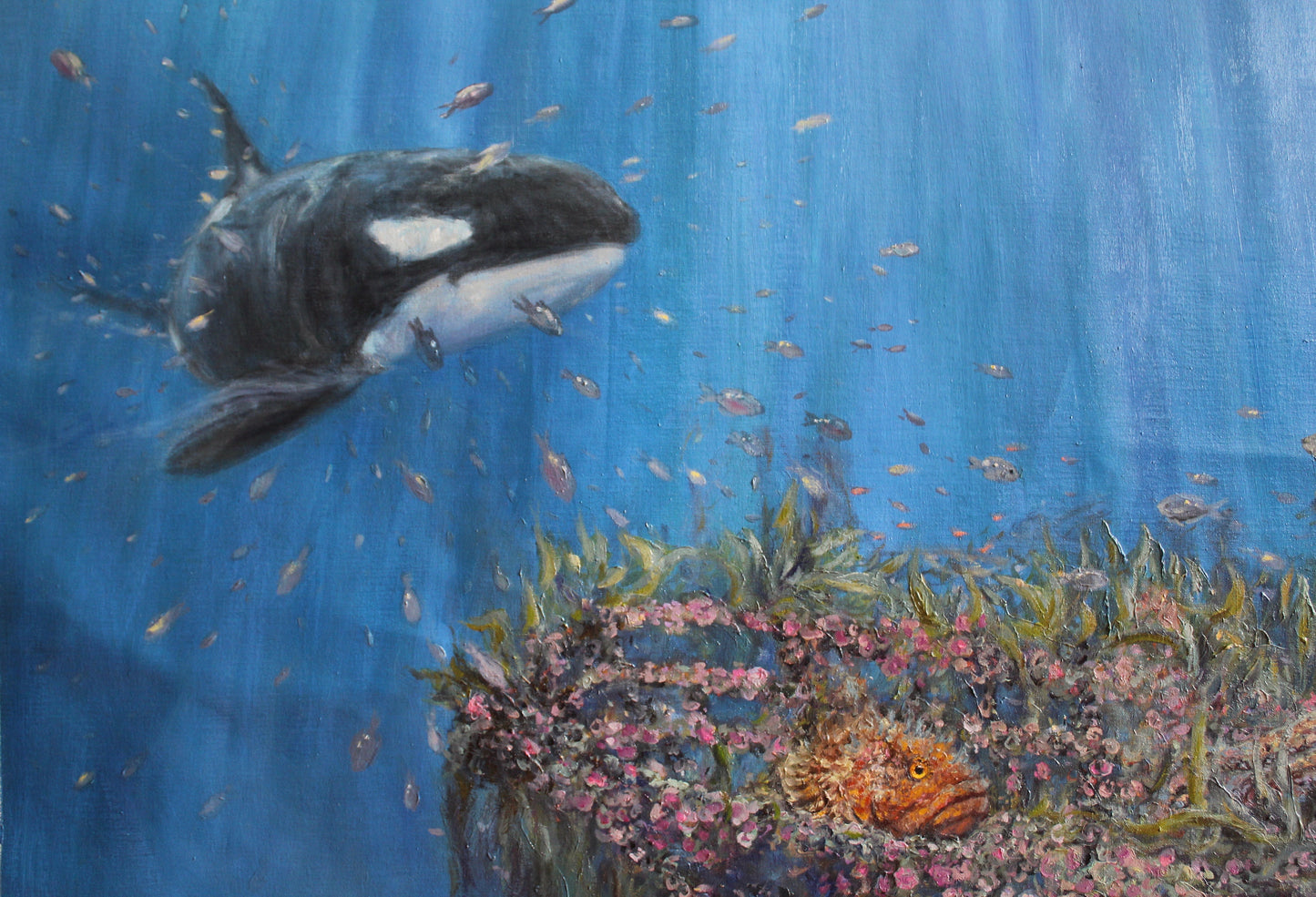 The Sunken Rainbow Warrior And Orcas