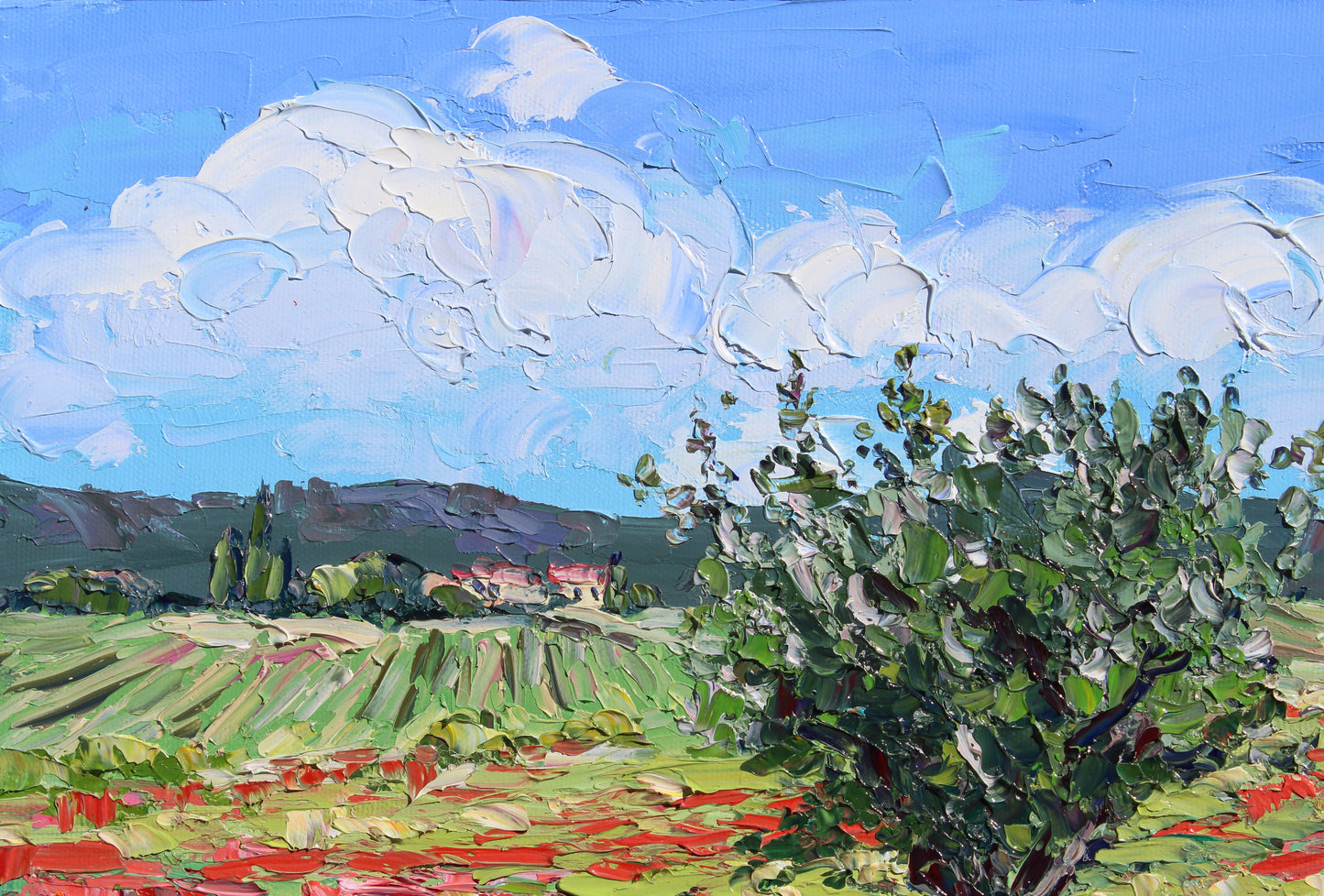 Dreaming Of Tuscany, Original 11" x 14" Italian Tuscan Landscape Oil Painting With Red Poppies And Olive Trees