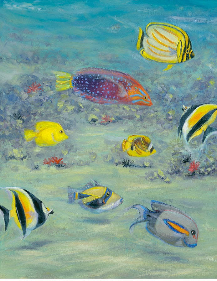 Snorkeling In Hawaii