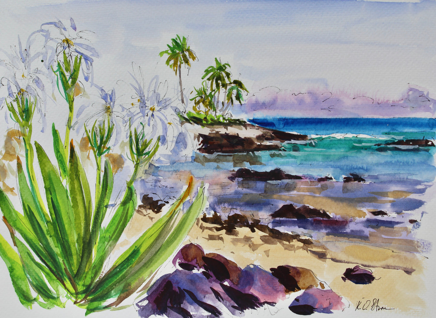 Along The Kohala Coast