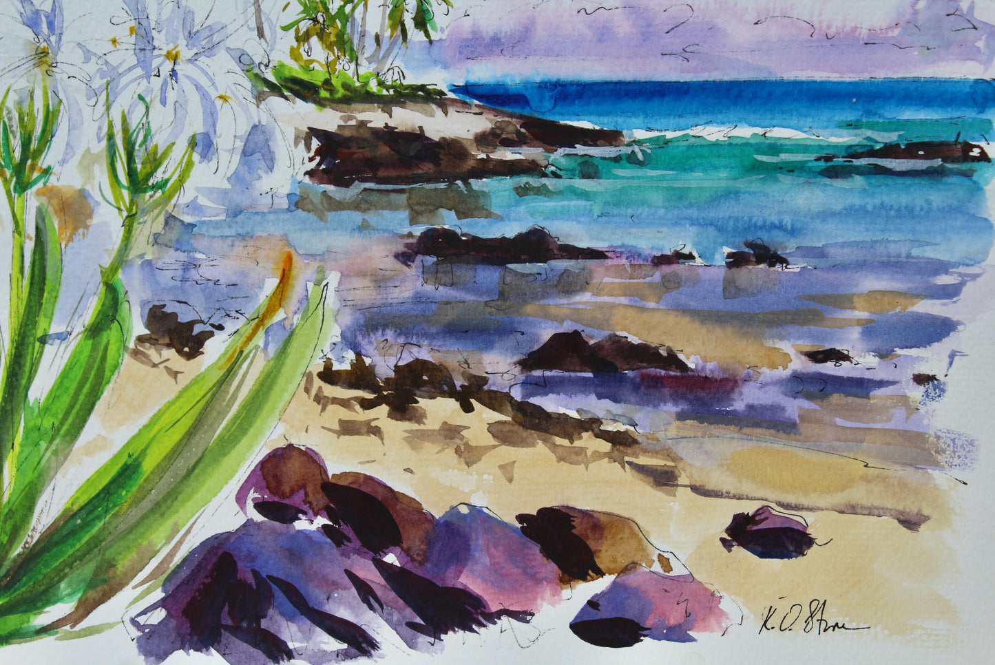 Along The Kohala Coast