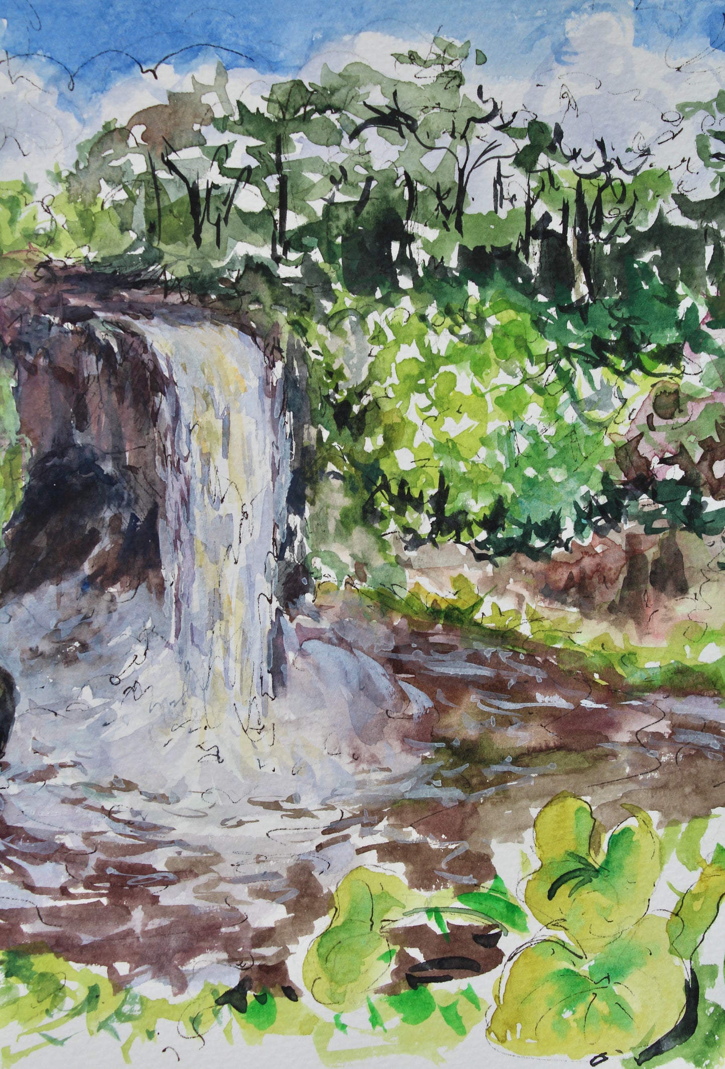 Rainbow Falls And Monstera