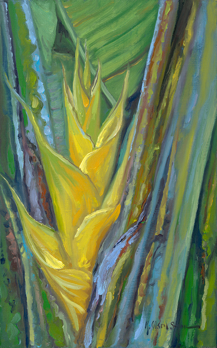 Yellow Carribbean Heliconia