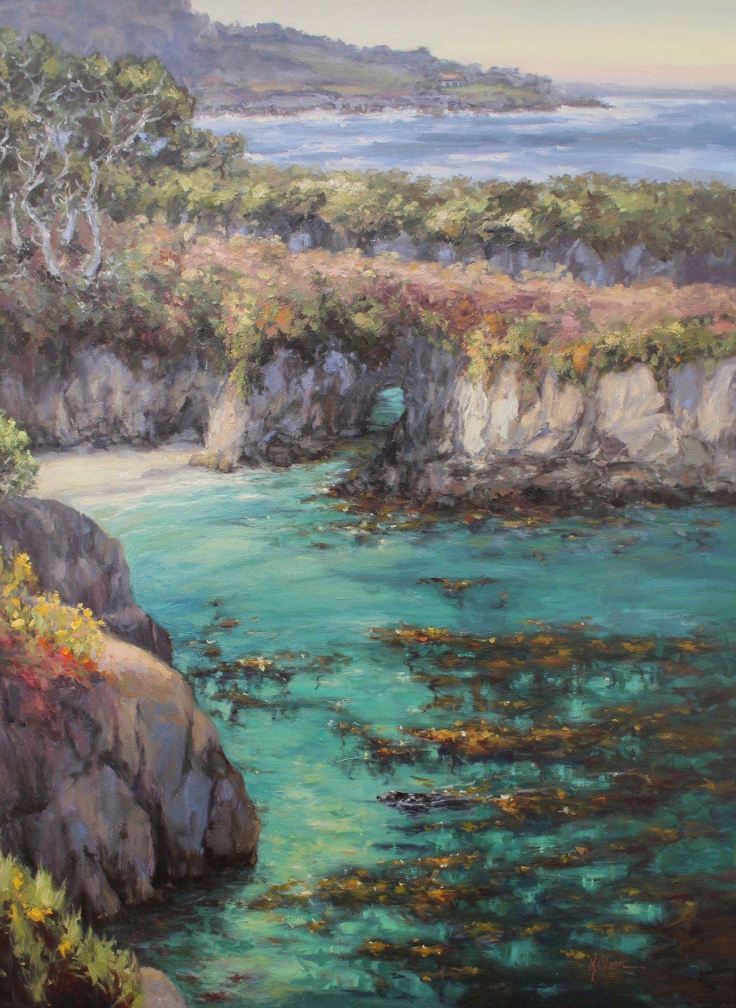 China Cove, Point Lobos