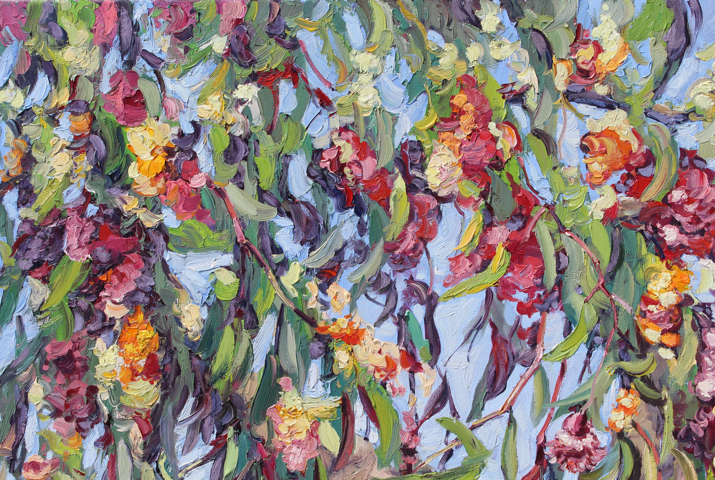 Gum Tree Blossoms, An Original Oil Painting On Canvas
