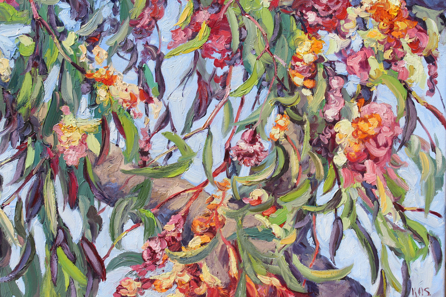 Gum Tree Blossoms, An Original Oil Painting On Canvas