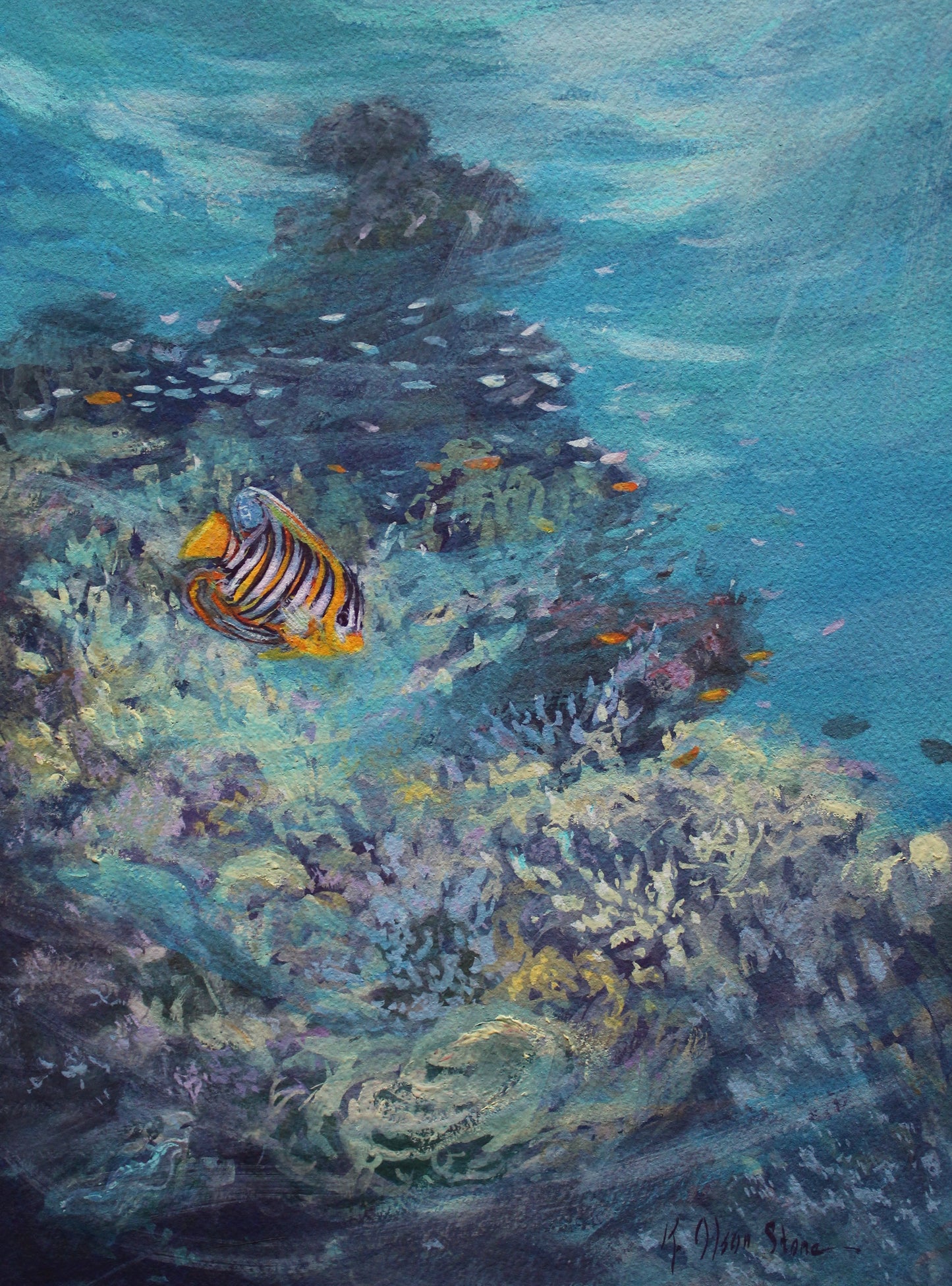 Oval Lined Butterfly Fish And Emperor Angelfish