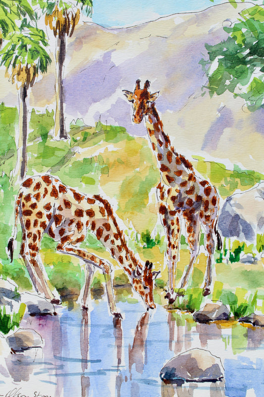 Giraffe's At The Pond