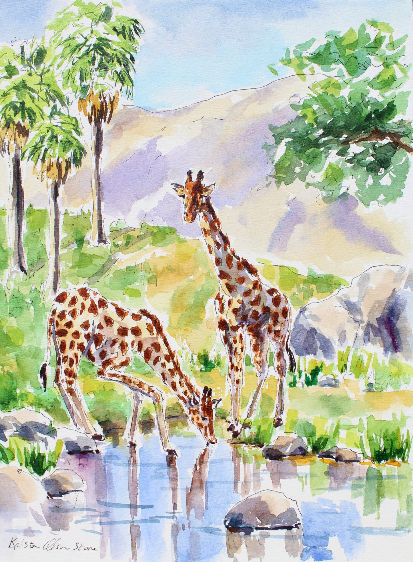 Giraffe's At The Pond