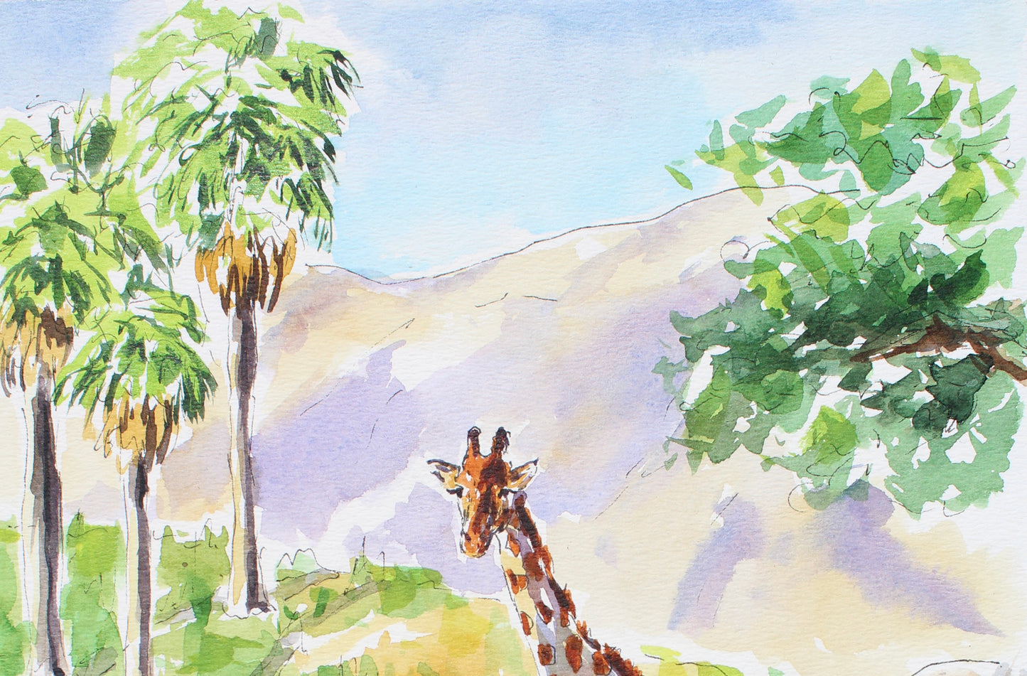 Giraffe's At The Pond