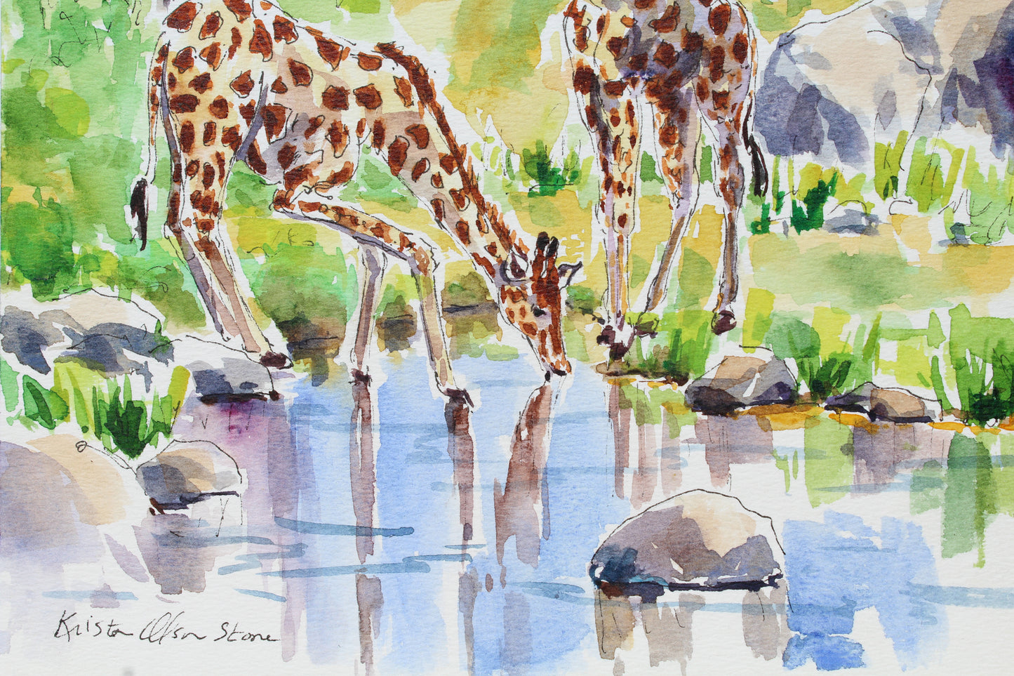 Giraffe's At The Pond