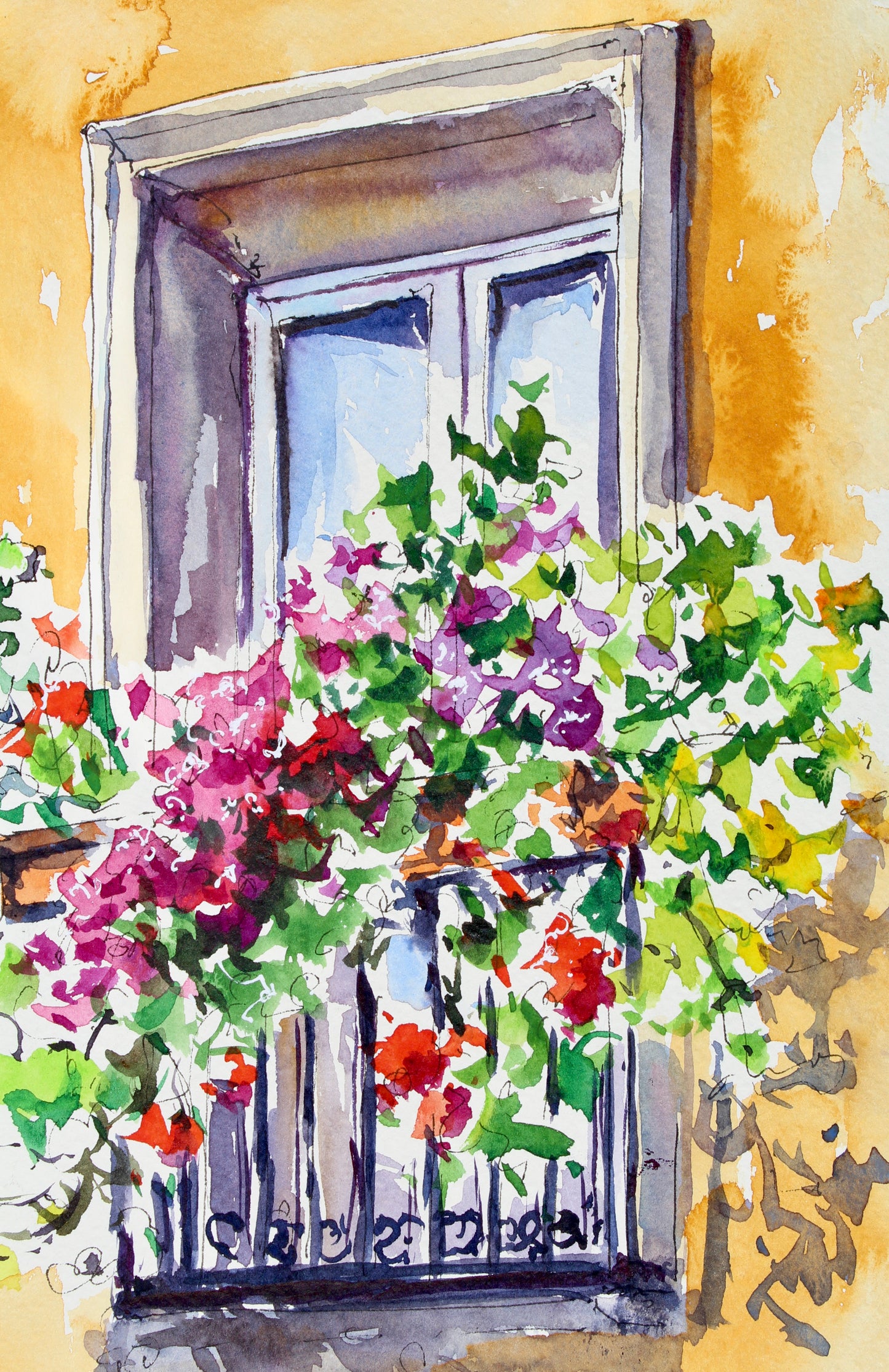 A Sunny Window Box In Sardinia