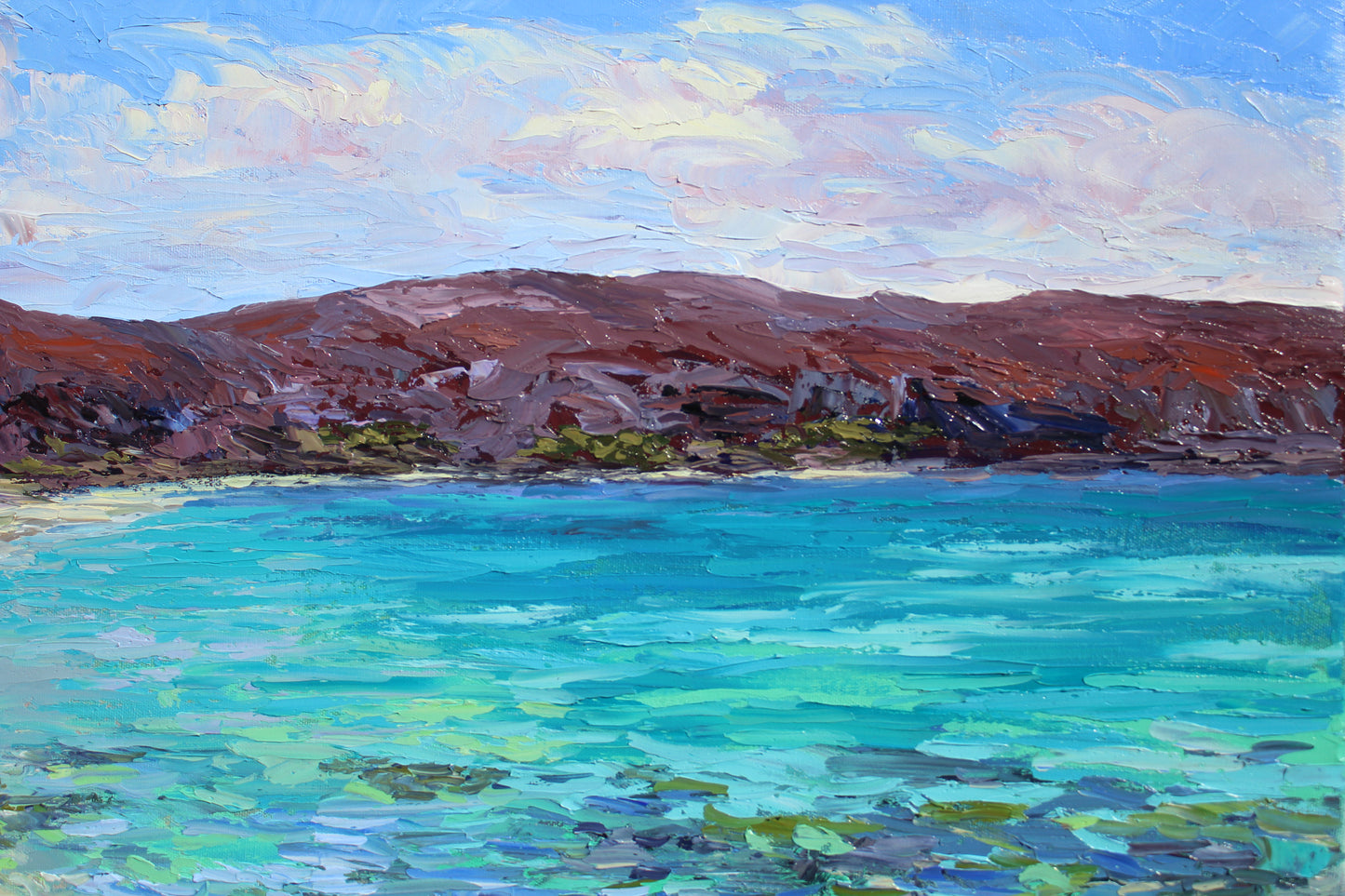 Balandra Bay, A 22" x 28" Original Seascape Oil Painting Of Baja