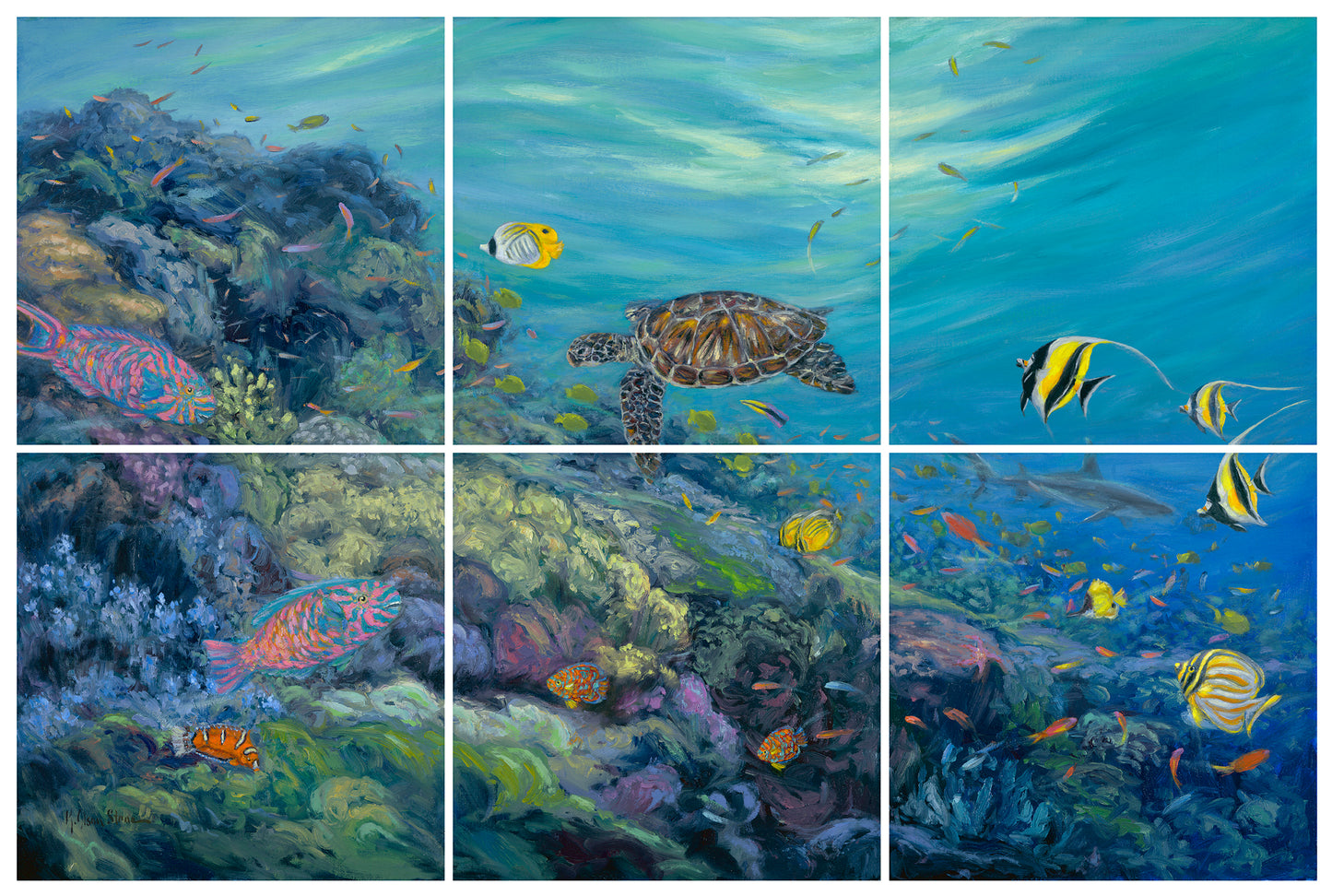 Hawaiian Reef