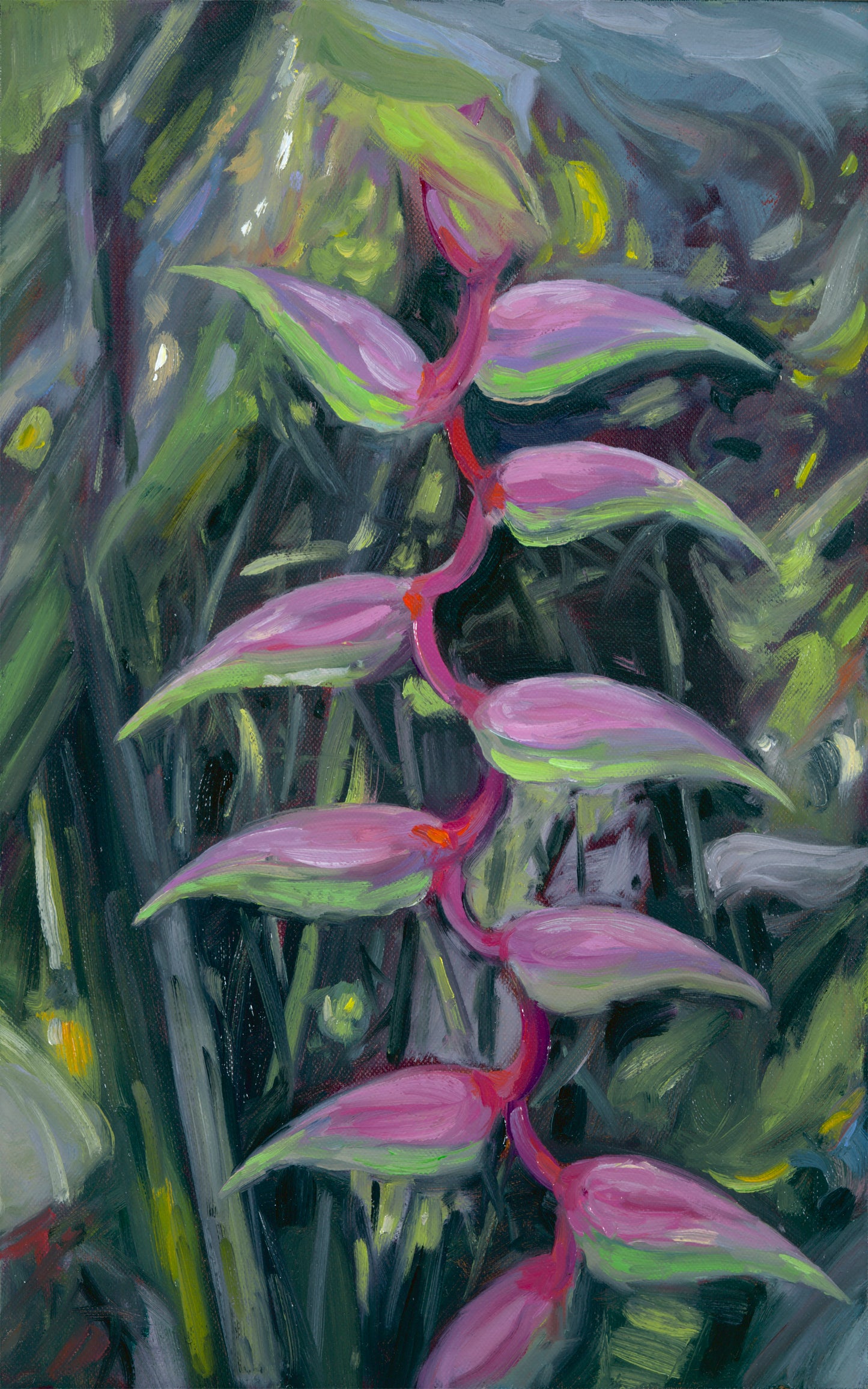 Pink Hanging Heliconia