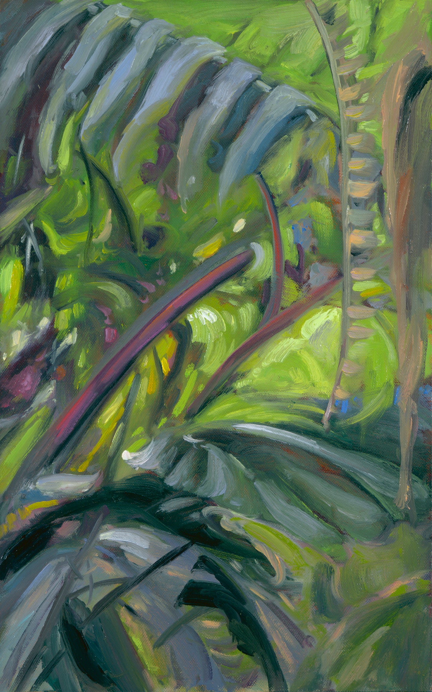 Pink Hanging Heliconia
