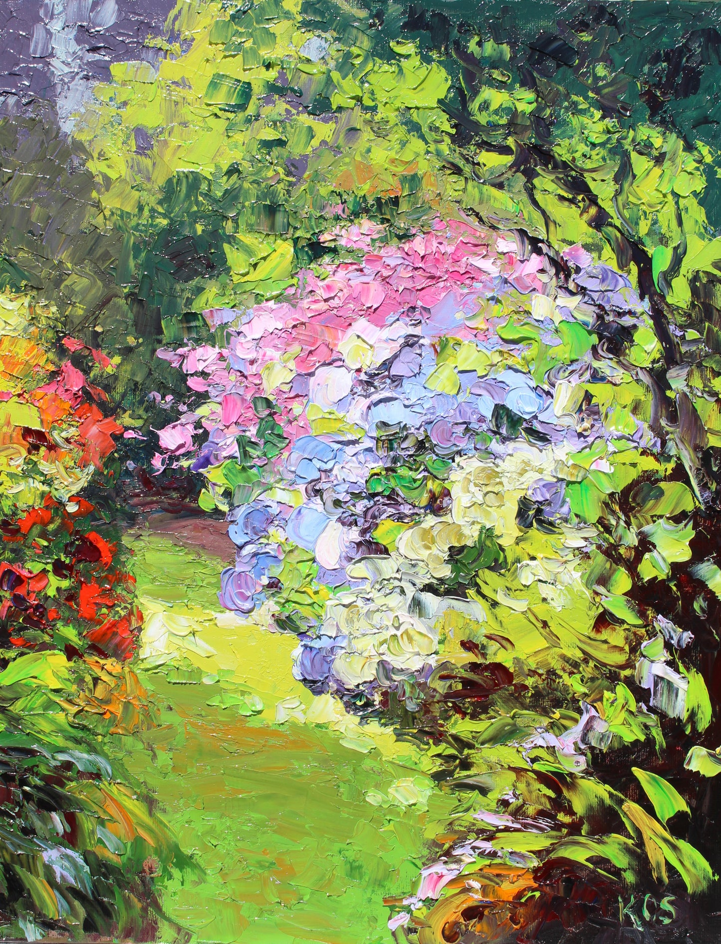 Garden Hydrangeas