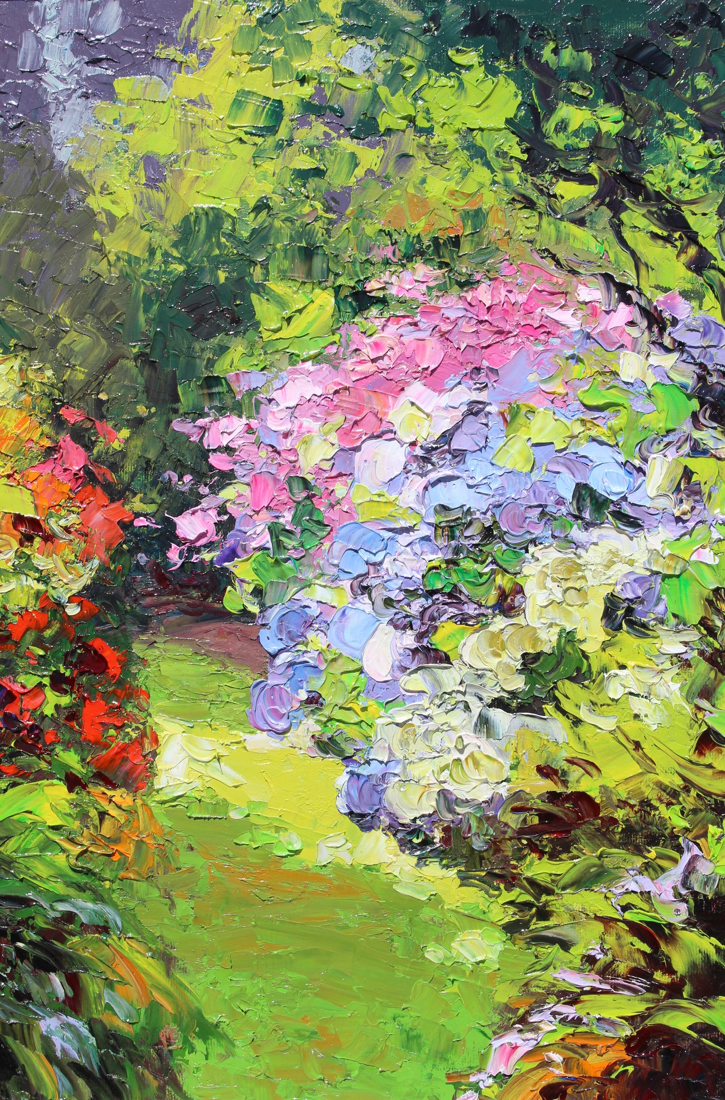Garden Hydrangeas