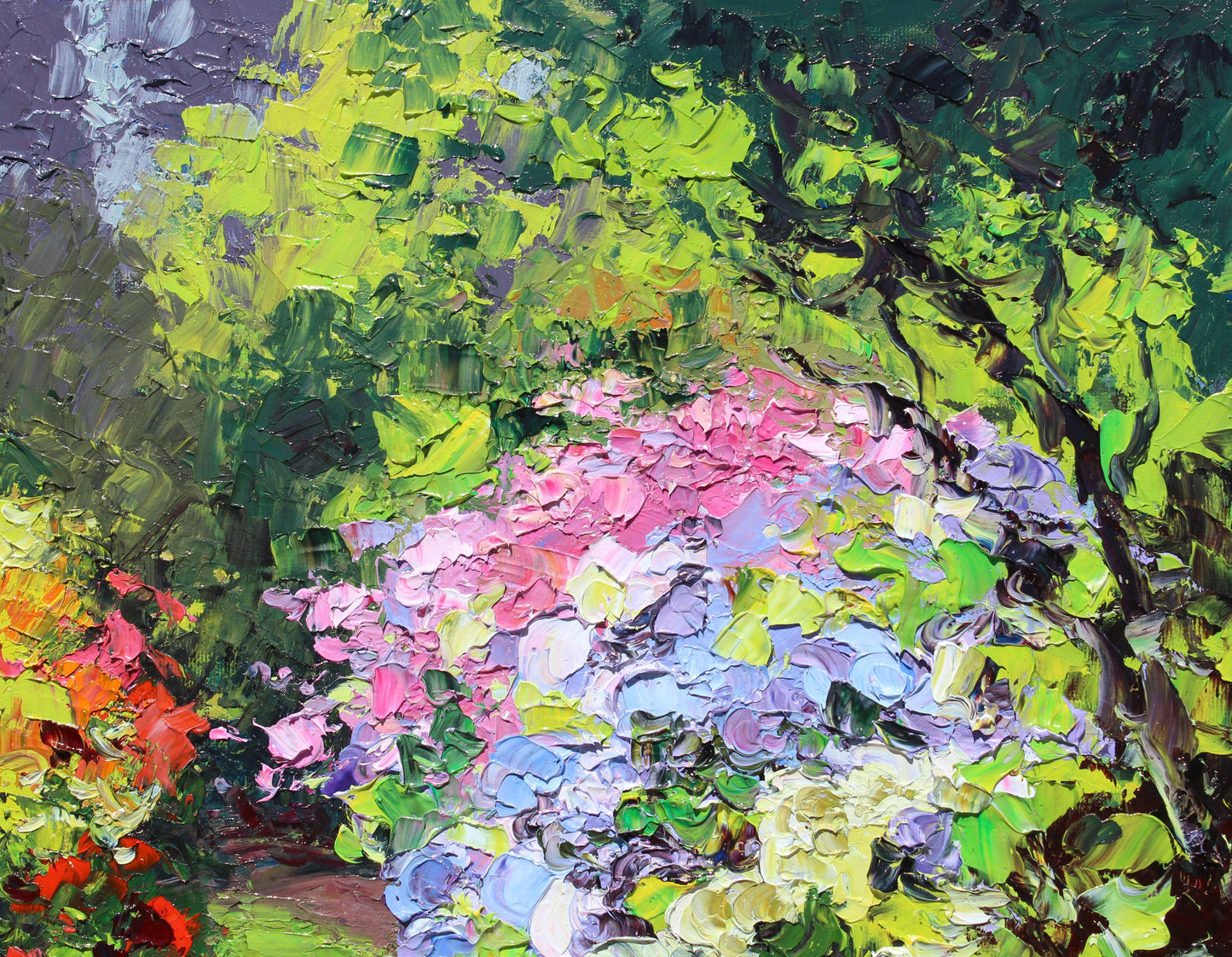 Garden Hydrangeas
