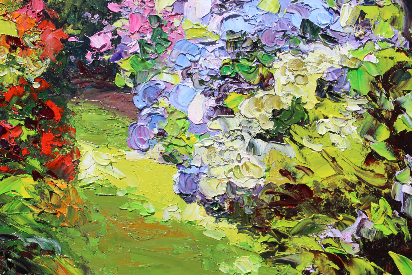 Garden Hydrangeas