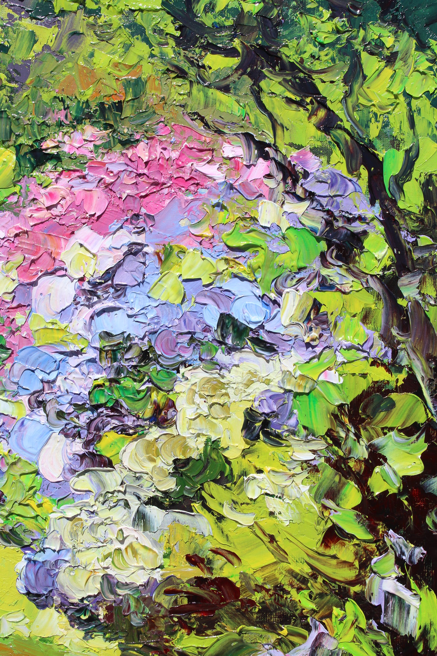 Garden Hydrangeas