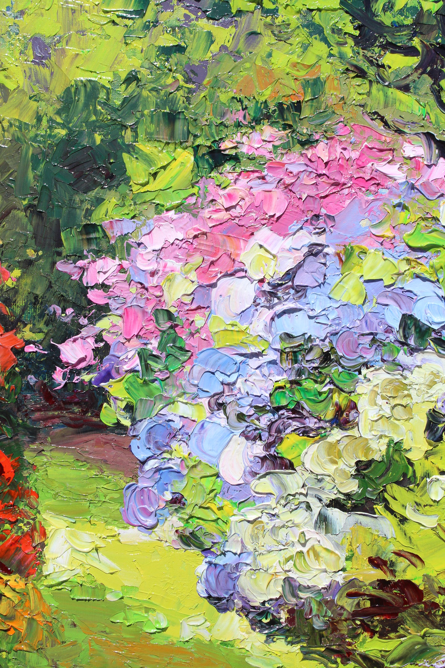 Garden Hydrangeas