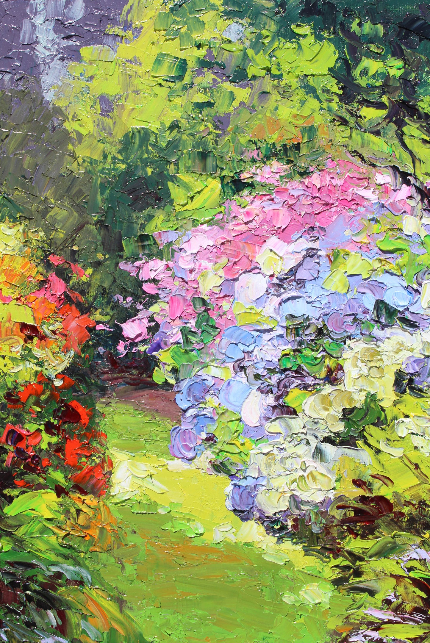 Garden Hydrangeas