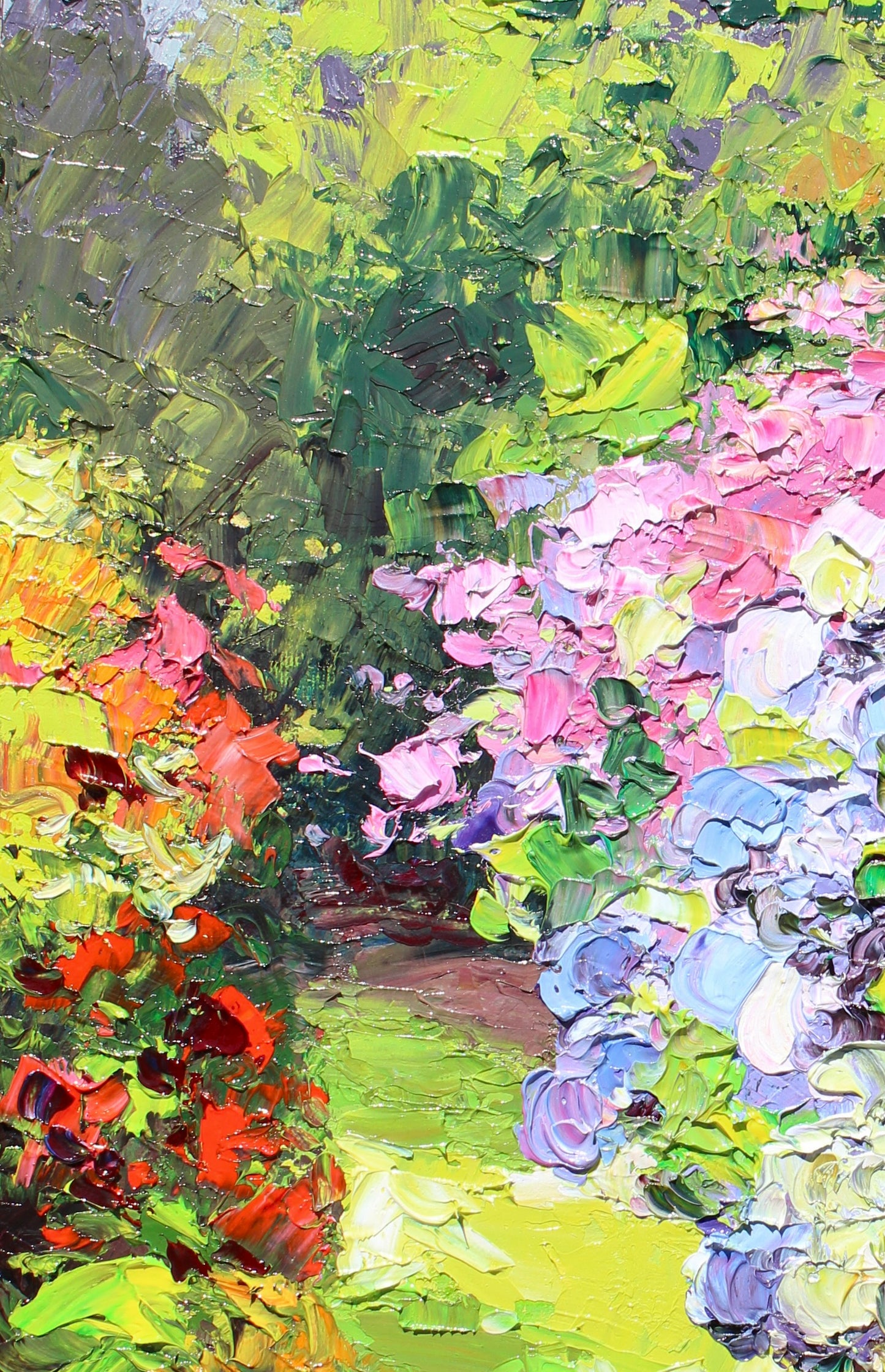 Garden Hydrangeas