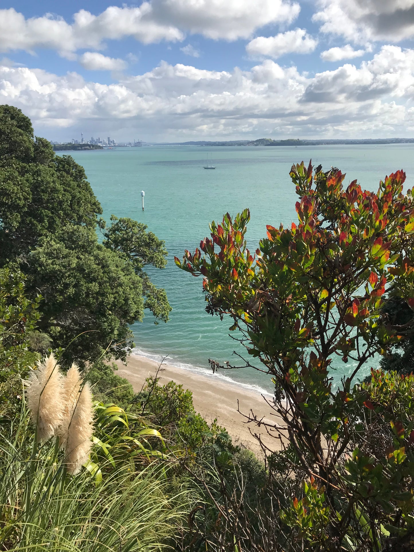 St Heliers, New Zealand seascape commission