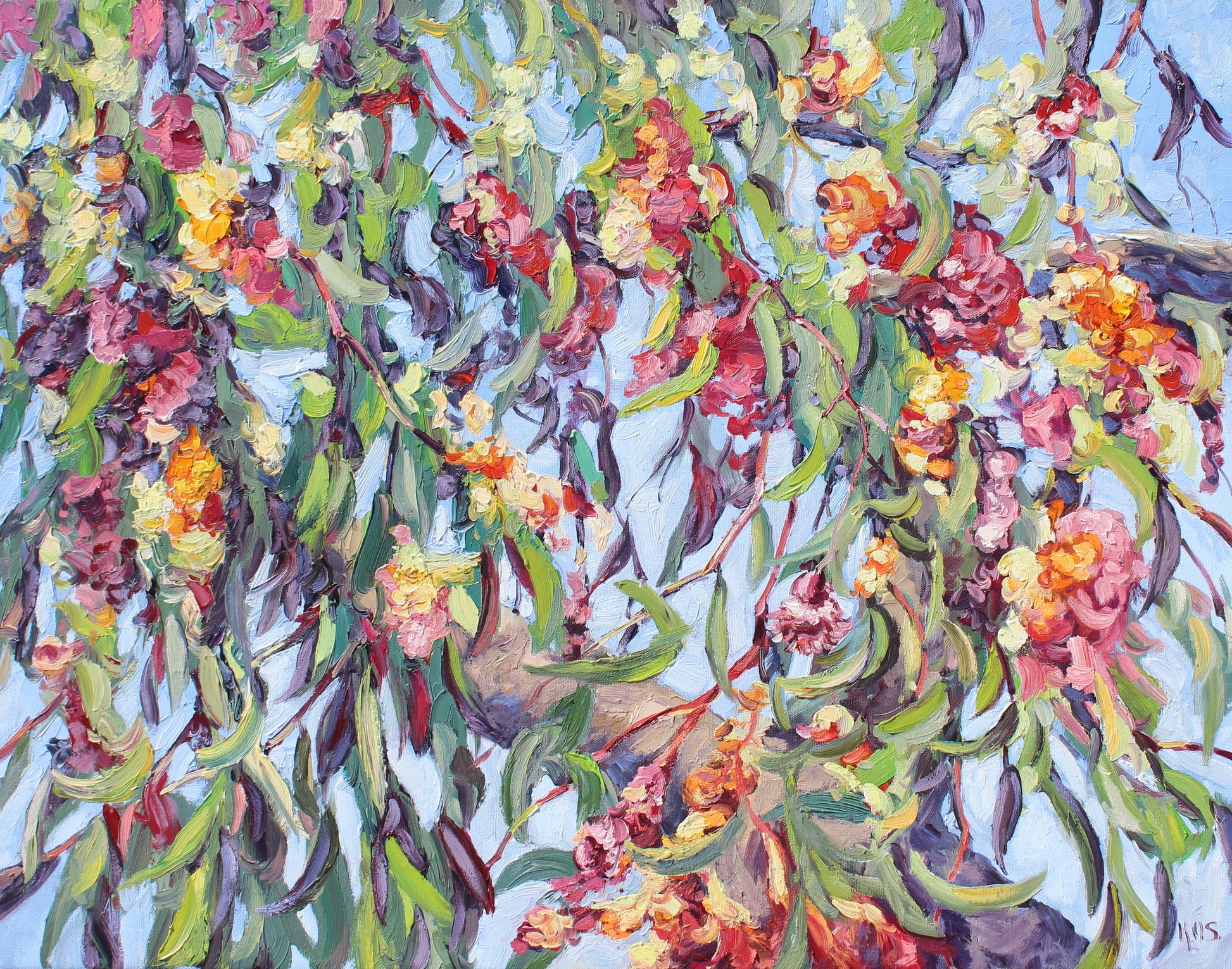 Gum Tree Blossoms- Original Oil  painting by fine artist Kristen Olson Stone. Impressionist vibrant Eucalyptus flowers as seen lookin up at a tree plein air wall art decor for collectors.