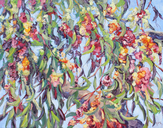 Gum Tree Blossoms- Original Oil  painting by fine artist Kristen Olson Stone. Impressionist vibrant Eucalyptus flowers as seen lookin up at a tree plein air wall art decor for collectors.