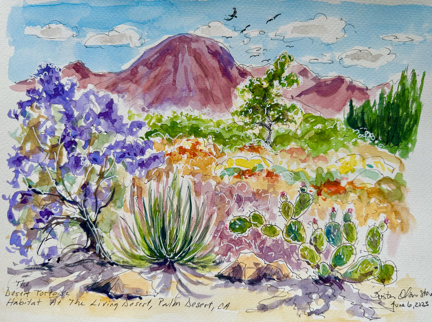 Sketch With Kristen At The Living Desert