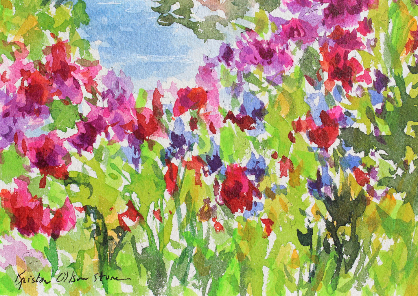 Summer In France