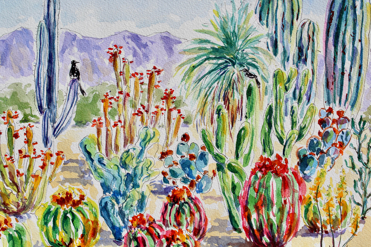 Desert Hues