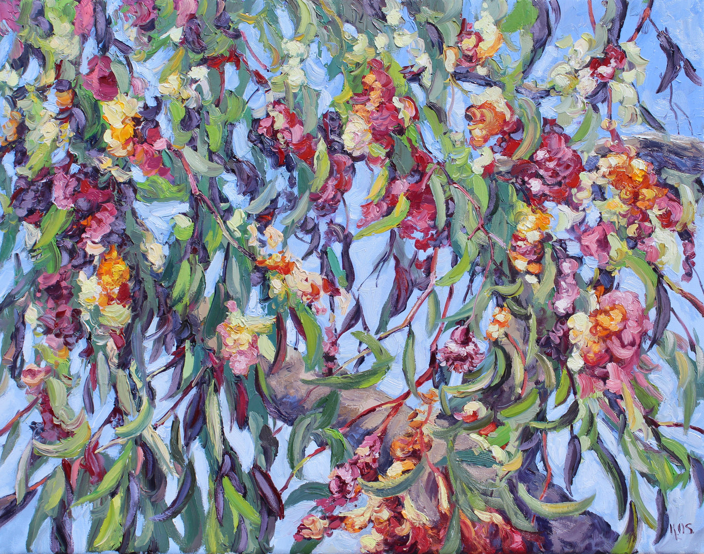 Gum Tree Blossoms, An Original 22" x 28" Eucalyptus Tree Oil Painting On Canvas